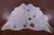 Brown Salt & Pepper Natural Cowhide Rug - X-Large 7' 0"H x 6' 3"W