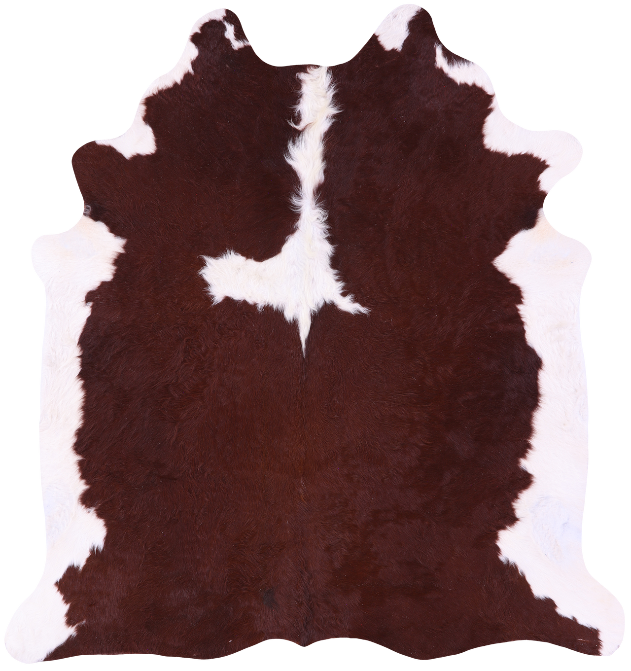 Brown & White Natural Cowhide Rug - XX-Large 7' 5"H x 6' 7"W