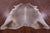 Champagne Natural Cowhide Rug - XX-Large 7' 10"H x 6' 8"W