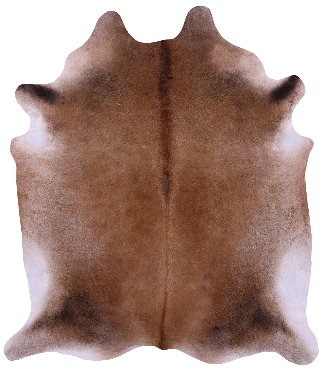 Light Brown Natural Cowhide Rug - X-Large 7' 3"H x 6' 6"W