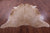 Light Brown Natural Cowhide Rug - XX-Large 8' 5"H x 7' 0"W