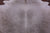 Beige Natural Cowhide Rug - XX-Large 7' 8"H x 7' 3"W