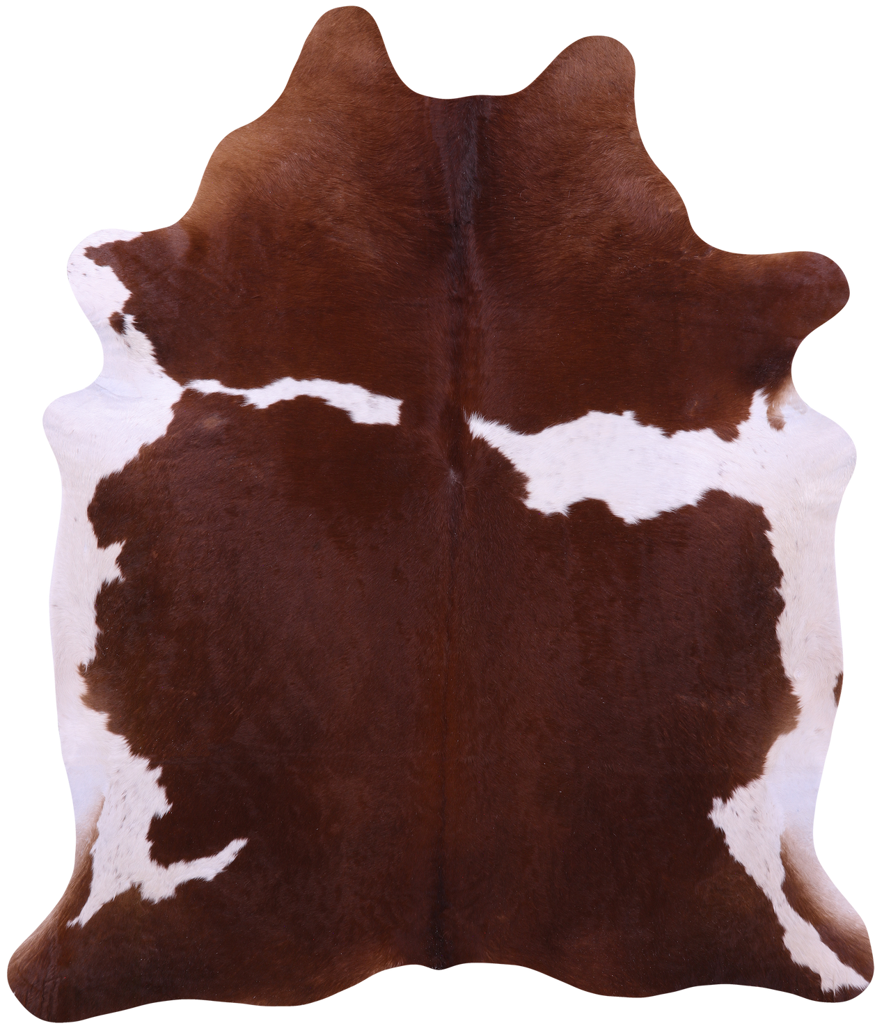 Brown & White Natural Cowhide Rug - XX-Large 7' 7"H x 6' 5"W