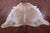 Champagne Natural Cowhide Rug - XX-Large 8' 3"H x 7' 2"W