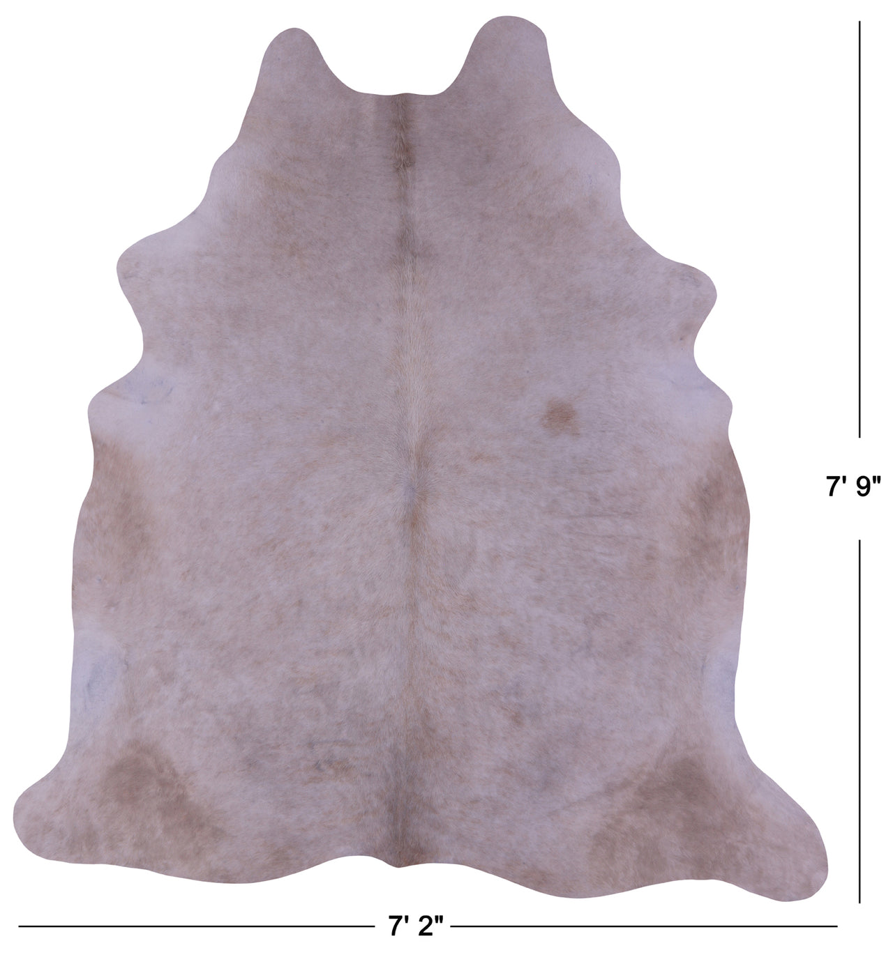 Beige Natural Cowhide Rug - XX-Large 7' 9"H x 7' 2"W