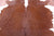 Brown & White Natural Cowhide Rug - X-Large 7' 3"H x 7' 0"W