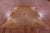 Light Brown Natural Cowhide Rug - XX-Large 7' 9"H x 7' 0"W