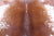 Brown Salt & Pepper Natural Cowhide Rug - XX-Large 8' 3"H x 7' 5"W