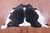 Black & White Natural Cowhide Rug - XX-Large 8' 0"H x 6' 10"W
