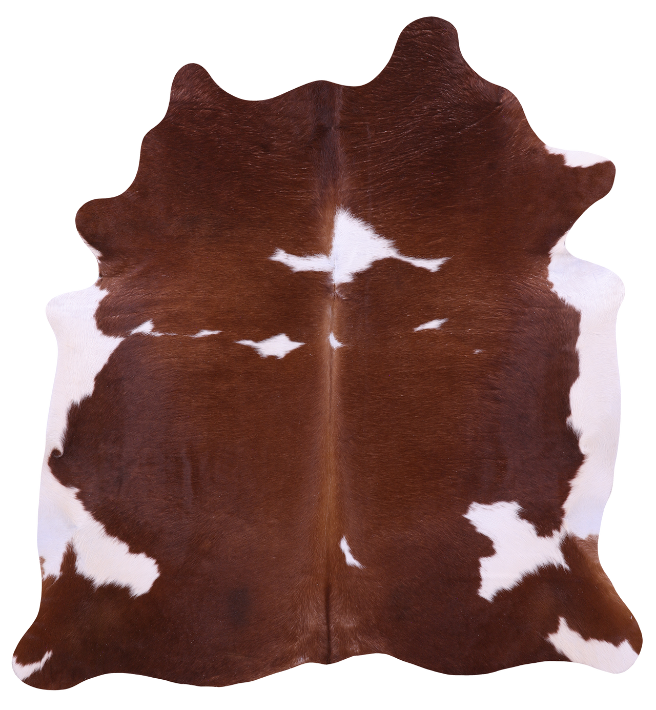 Brown & White Natural Cowhide Rug - X-Large 7' 0"H x 6' 5"W