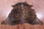 Brindle Natural Brown Cowhide Rug - XX-Large 7' 8"H x 6' 2"W