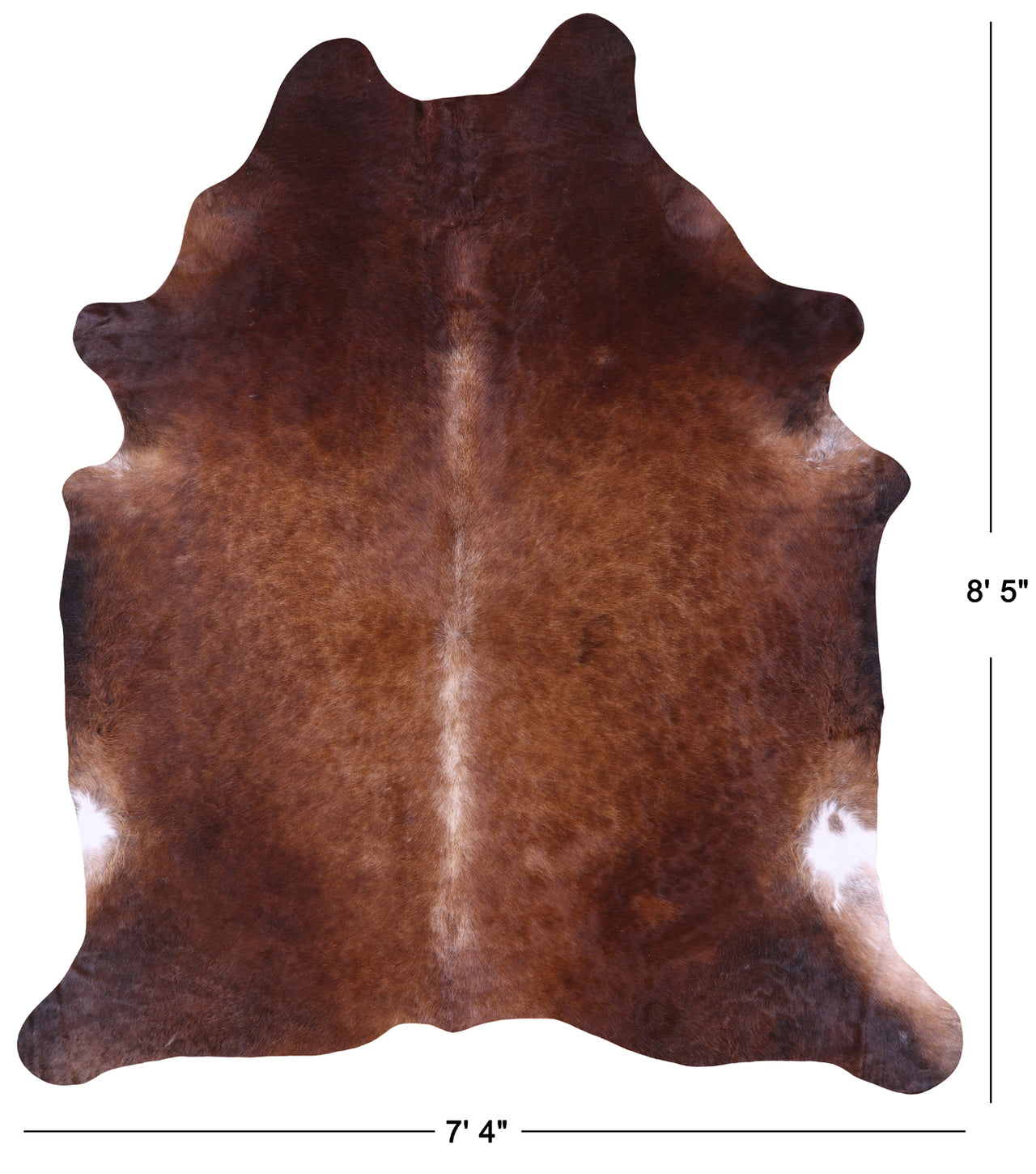 Brown Natural Cowhide Rug - XX-Large 8' 5"H x 7' 4"W