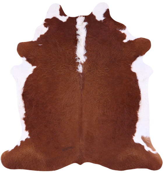 Brown & White Natural Cowhide Rug - X-Large 7' 0"H x 6' 6"W