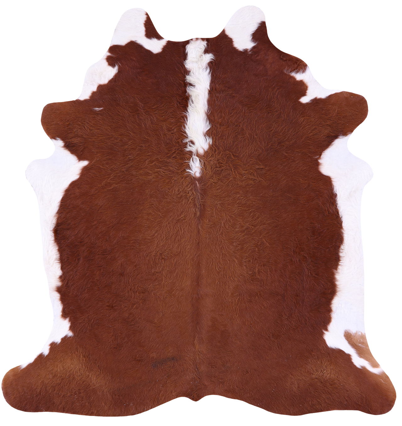 Brown & White Natural Cowhide Rug - X-Large 7' 0"H x 6' 6"W