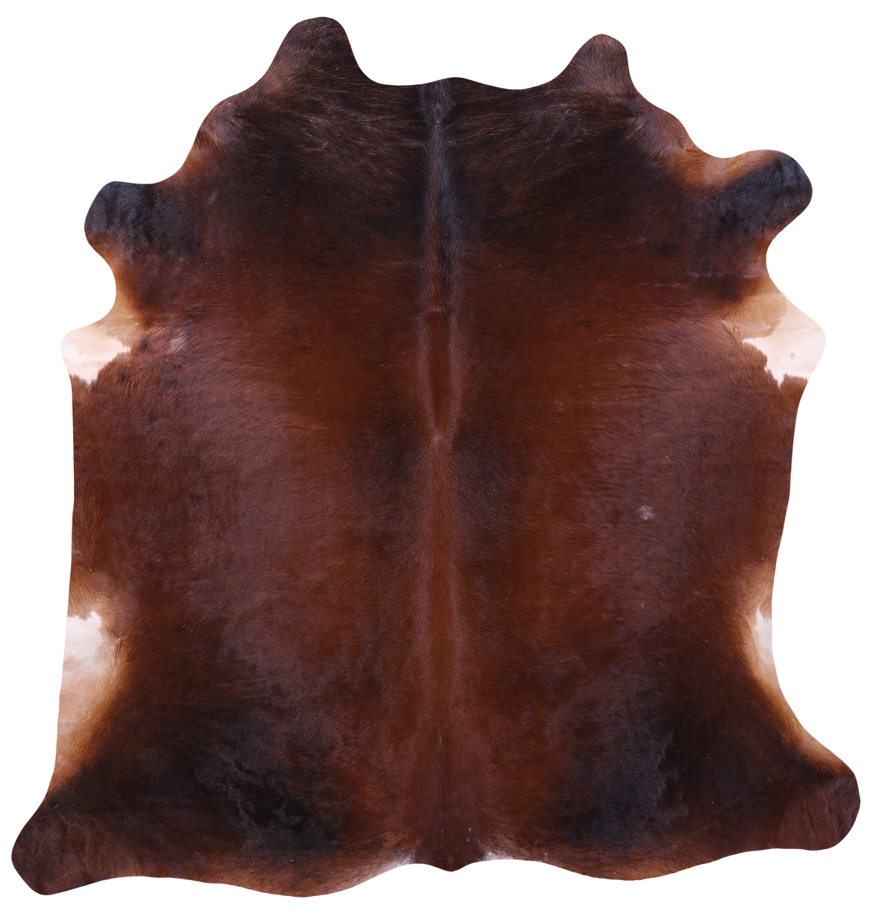 Dark Brown Natural Cowhide Rug - XX-Large 7' 5"H x 7' 2"W