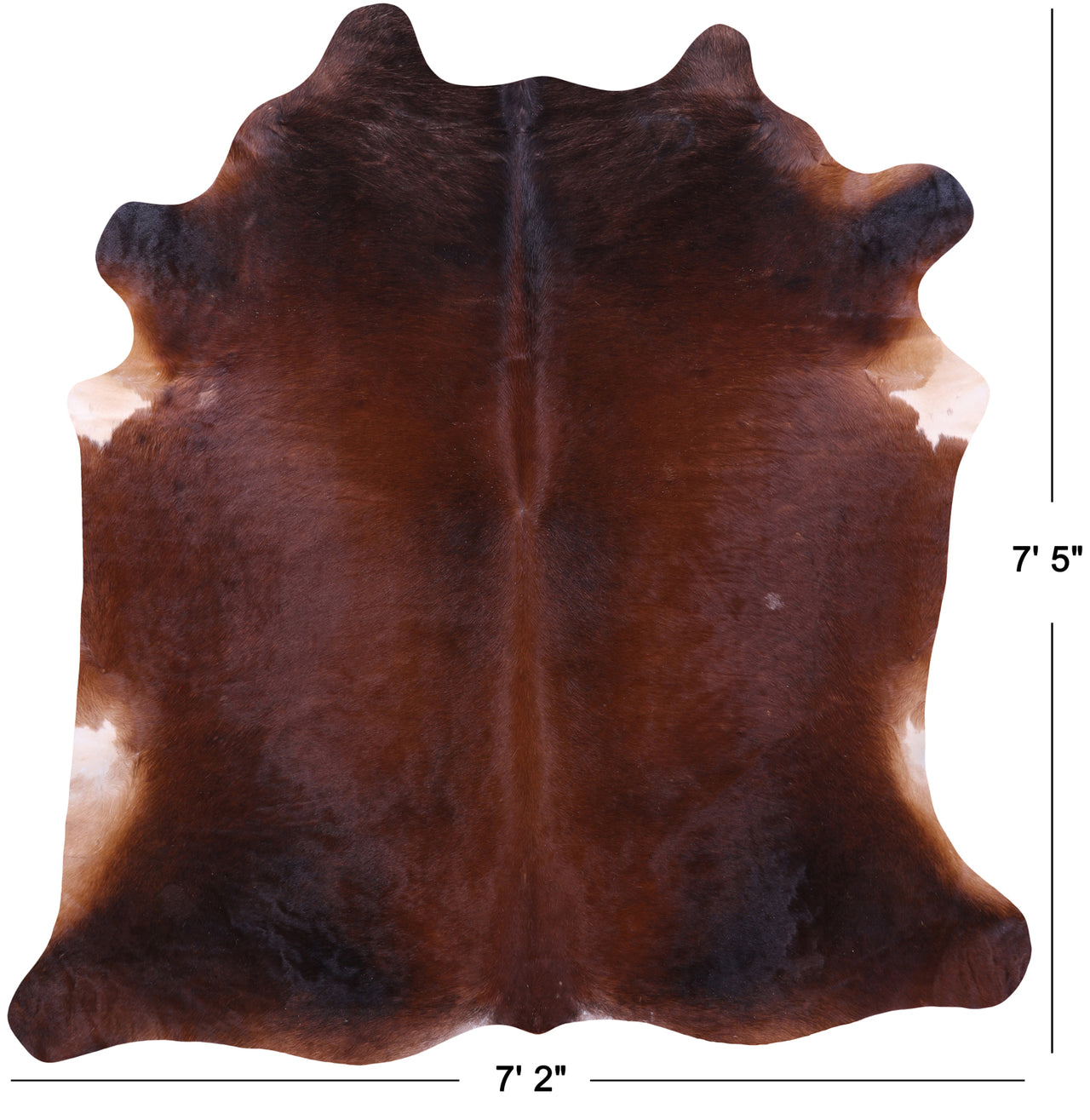 Dark Brown Natural Cowhide Rug - XX-Large 7' 5"H x 7' 2"W
