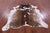 Brown Salt & Pepper Natural Cowhide Rug - X-Large 7' 0"H x 6' 1"W