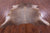 Champagne Natural Cowhide Rug - XX-Large 8' 1"H x 6' 10"W