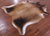 Light Brown Natural Cowhide Rug - XX-Large 7' 9"H x 6' 7"W