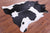 Black & White Natural Cowhide Rug - X-Large 7' 2"H x 6' 4"W