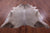 Champagne Natural Cowhide Rug - XX-Large 8' 1"H x 7' 0"W