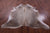 Champagne Natural Cowhide Rug - XX-Large 8' 0"H x 6' 10"W