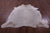 Champagne Natural Cowhide Rug - XX-Large 8' 0"H x 6' 2"W