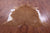 Light Brown Natural Cowhide Rug - XX-Large 7' 7"H x 7' 0"W