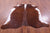 Brown & White Natural Cowhide Rug - X-Large 7' 0"H x 6' 2"W