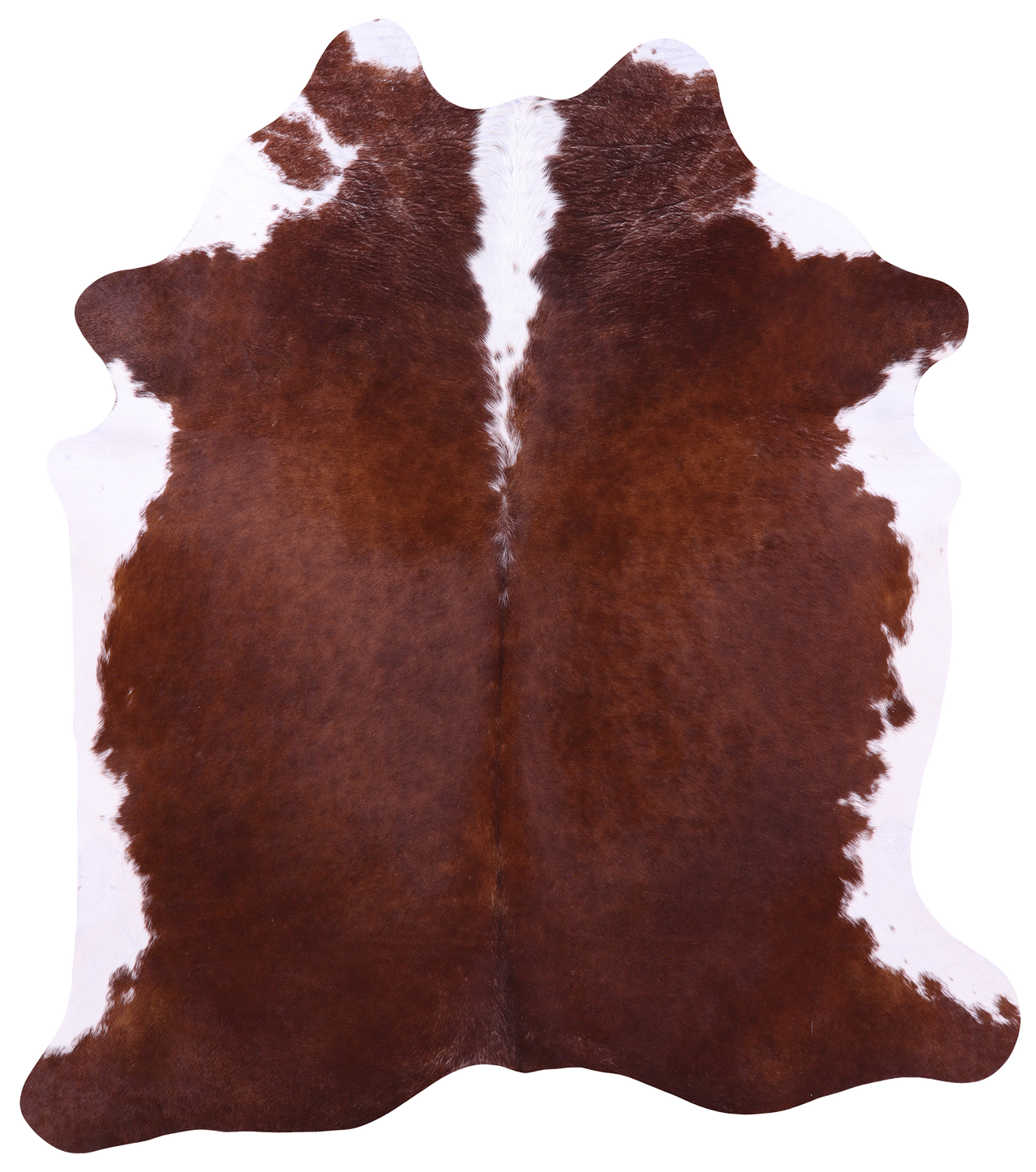 Brown & White Natural Cowhide Rug - X-Large 7' 0"H x 6' 2"W