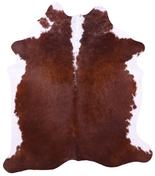 Brown & White Natural Cowhide Rug - X-Large 7' 0