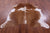 Brown & White Natural Cowhide Rug - X-Large 7' 3"H x 6' 4"W