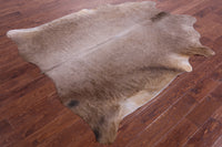 Thumbnail for Champagne Natural Cowhide Rug - X-Large 7' 0