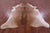 Light Brown Natural Cowhide Rug - XX-Large 8' 4"H x 7' 3"W