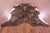 Brindle Natural Cowhide Rug - X-Large 7' 3"H x 6' 9"W