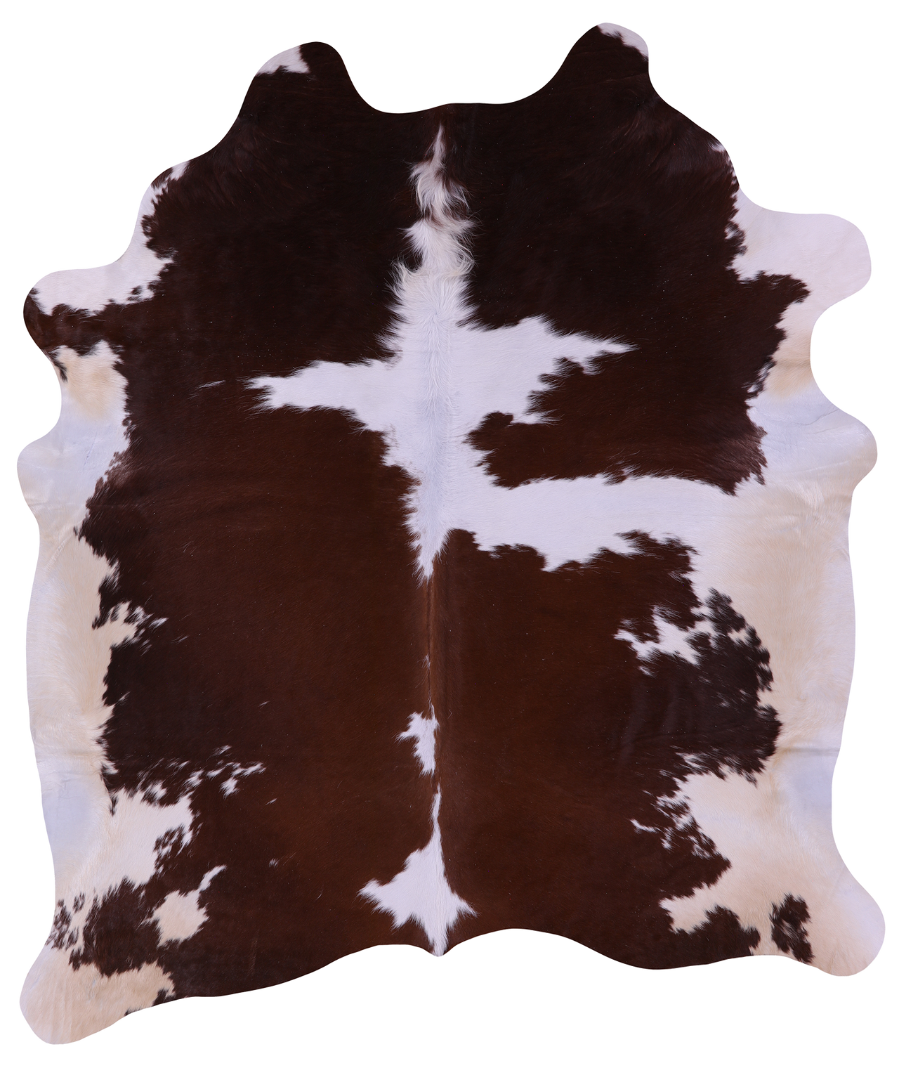 Brown & White Natural Cowhide Rug - XX-Large 8' 0"H x 6' 8"W