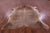 Light Brindle Natural Cowhide Rug - XX-Large 7' 10"H x 6' 8"W