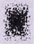 Black & White Patchwork Natural Cowhide Rug - 5' 0" x 6' 7"