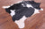 Black & White Natural Cowhide Rug - XX-Large 8' 2"H x 6' 6"W