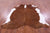 Brown & White Natural Cowhide Rug - X-Large 7' 0"H x 6' 4"W