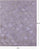 Ivory Patchwork Natural Cowhide Rug - 8' 0" x 10' 0"
