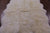 100% Natural New Zealand Sheepskin Ivory 5' 0" X 6' 4"