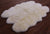100% Natural New Zealand Sheepskin Ivory 5' 0" X 6' 4"