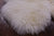 100% Natural New Zealand Sheepskin Ivory 5' 0" X 6' 4"
