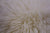 100% Natural New Zealand Sheepskin Ivory 2' 0" x 3' 0"