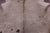 SUPER SALE Light Brown Natural Cowhide Rug - X-Large 6' 9"H x 6' 0"W