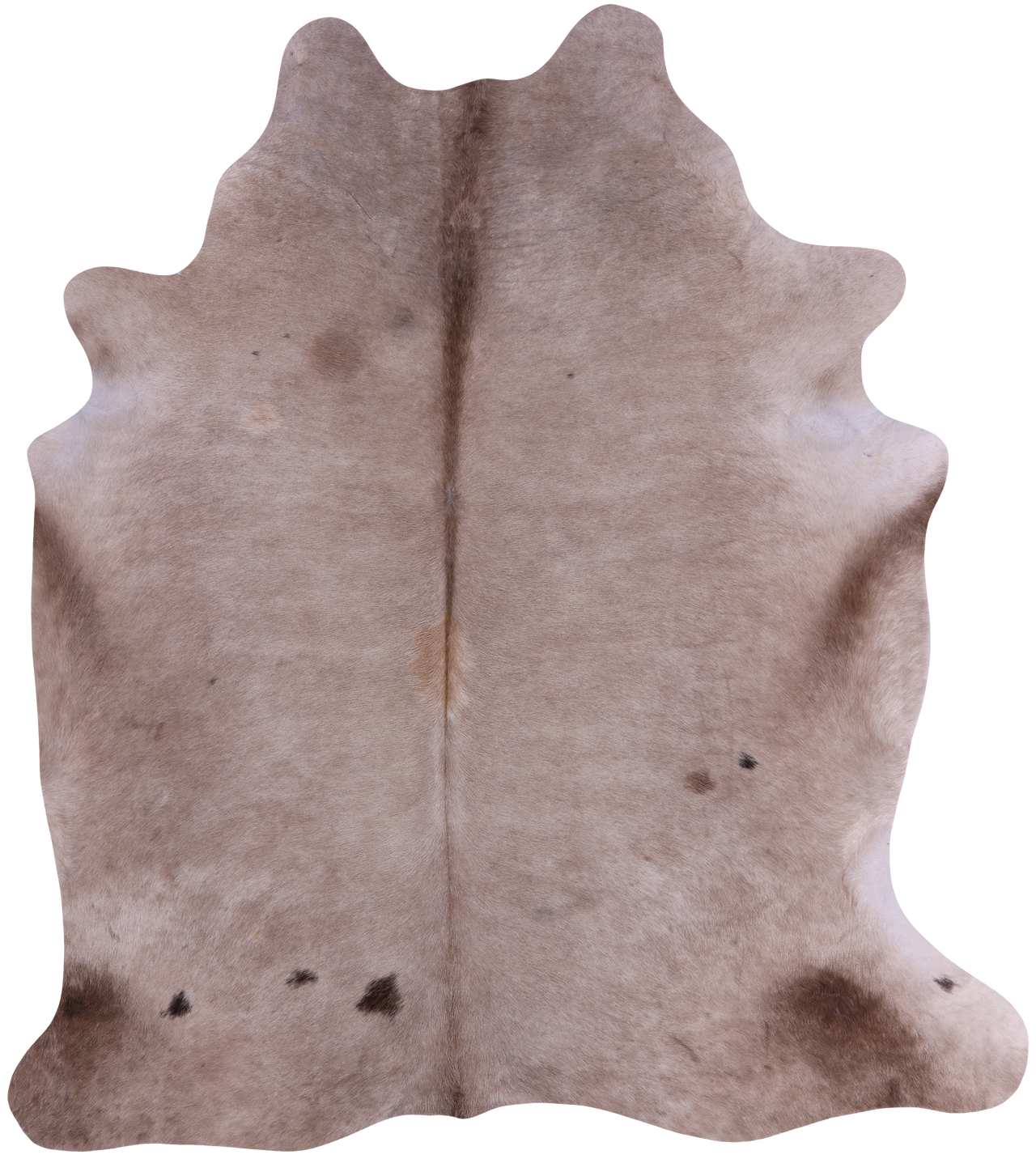 SUPER SALE Light Brown Natural Cowhide Rug - X-Large 6' 9"H x 6' 0"W