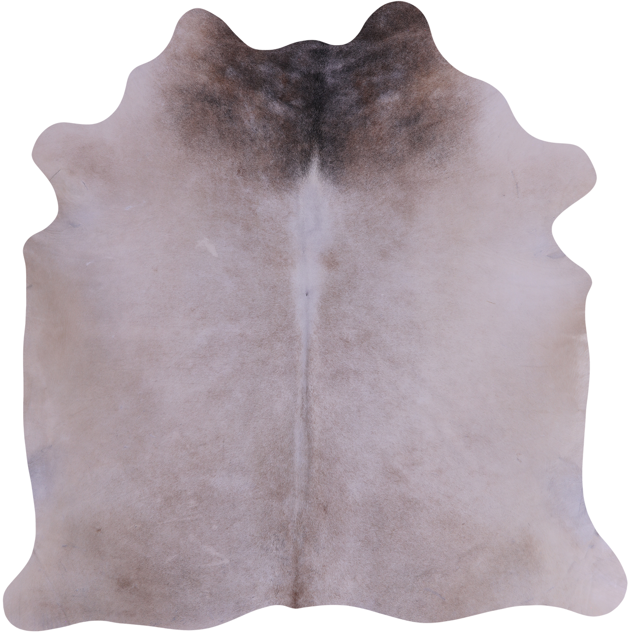 SUPER SALE Beige Natural Cowhide Rug - Large 6' 7"H x 6' 4"W