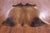 SUPER SALE Light Brown Natural Cowhide Rug - Large 6' 6"H x 6' 2"W