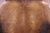 SUPER SALE Light Brown Natural Cowhide Rug - Large 6' 6"H x 6' 2"W